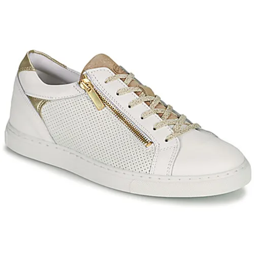 Betty London  SUNIE  women's Shoes (Trainers) in White