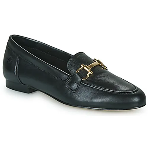 Betty London  SUNLIGHT  women's Loafers / Casual Shoes in Black