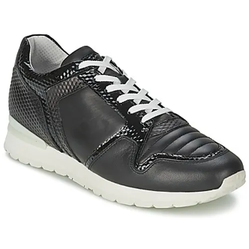 Bikkembergs  KATE 420  women's Shoes (Trainers) in Black
