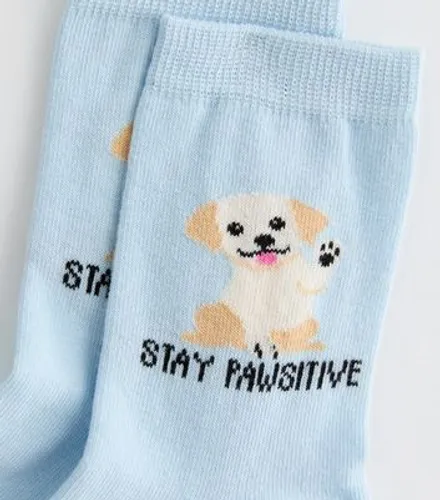Blue Stay Pawsitive Tube Socks New Look
