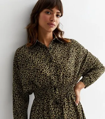 Blue Vanilla Khaki Leopard Print Mini Shirt Dress New Look