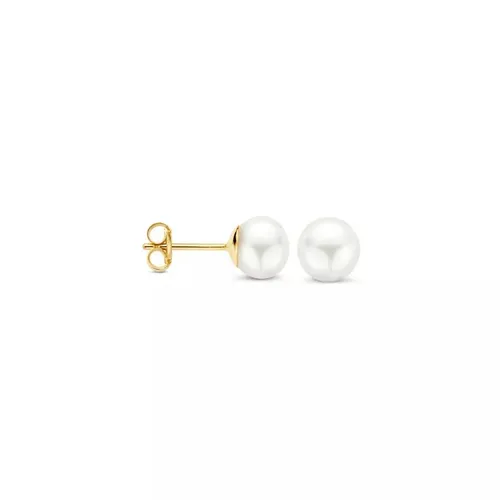 Blush Earrings - Blush 585er Golden Ohrringe 7136YPW - gold - Earrings for ladies