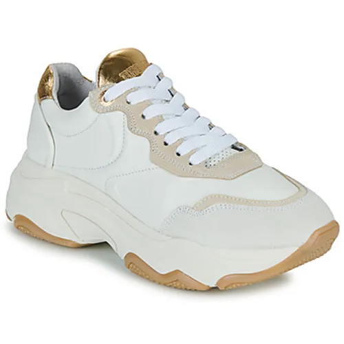 Bronx  BAISLEY  women's Shoes (Trainers) in Beige