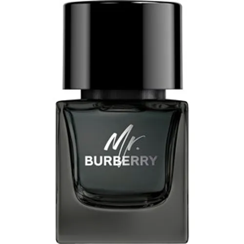 Burberry Eau de Parfum Spray Male 100 ml