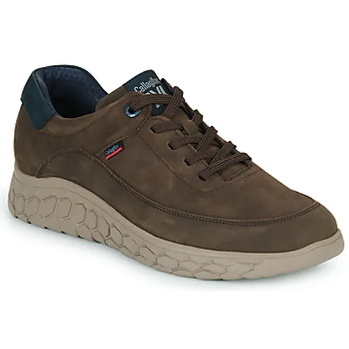 CallagHan  CHUCK WATER  men's Shoes (Trainers) in Brown