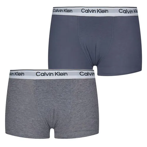 Calvin Klein 2 Pack Boxer Shorts - Grey