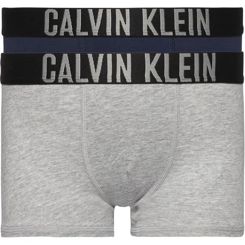 Calvin Klein Calvin Klein 2 Pack Boxer Shorts - Grey