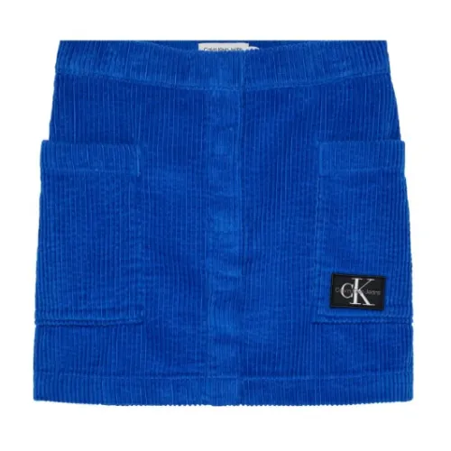 Calvin Klein , Corduroy Skirt ,Blue female, Sizes: