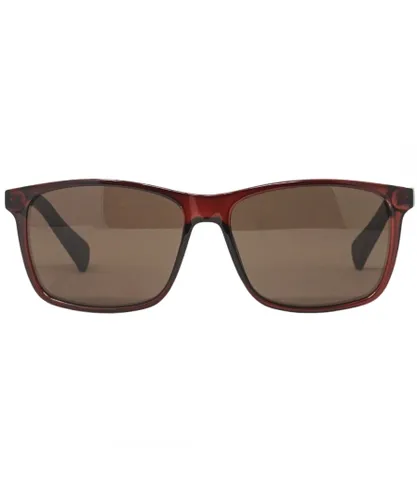 Calvin Klein Mens CK19568S 601 Brown Sunglasses - One