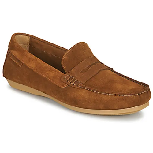 Carlington  ERMYL  men's Loafers / Casual Shoes in Brown
