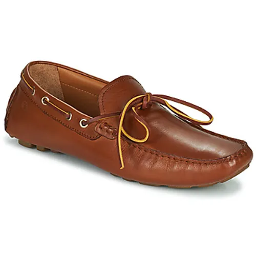 Carlington  JEAN  men's Loafers / Casual Shoes in Brown