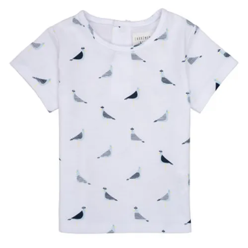 Carrément Beau  THIERRY  boys's Children's T shirt in White