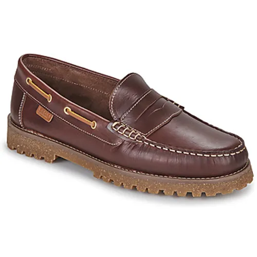Casual Attitude  BELANA  men's Boat Shoes in Brown