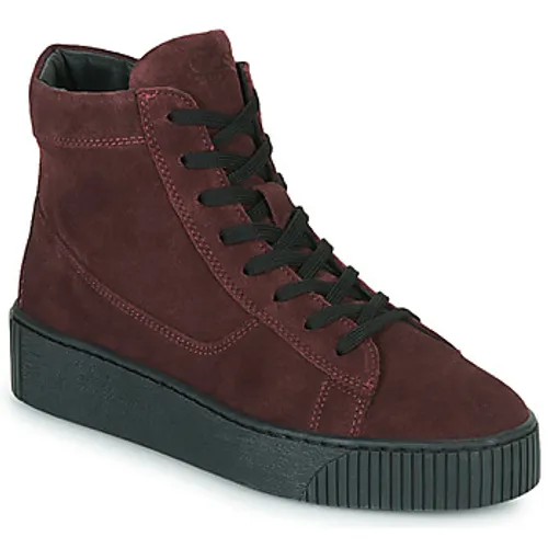 Casual Attitude  NEW0001  women's Shoes (High-top Trainers) in Bordeaux