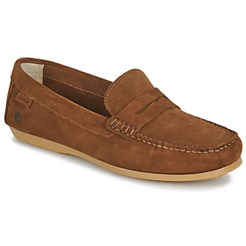 Casual Attitude  NEW001  men's Loafers / Casual Shoes in Brown