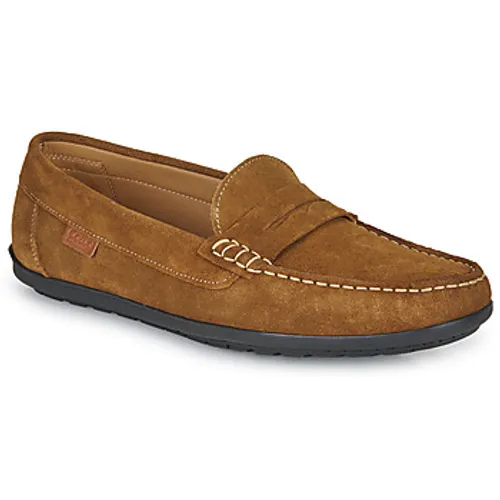 Casual Attitude  VELMO  men's Loafers / Casual Shoes in Brown