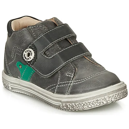 Catimini  BICHOU  boys's Children's Shoes (High-top Trainers) in Grey