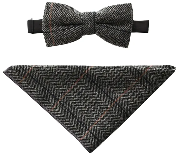 Cavani Albert Grey Bow Tie & Pocket Square