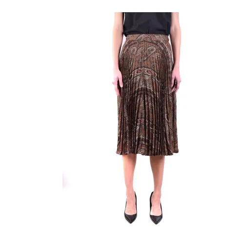 Celine , Mid-length Skirt ,Brown female, Sizes: