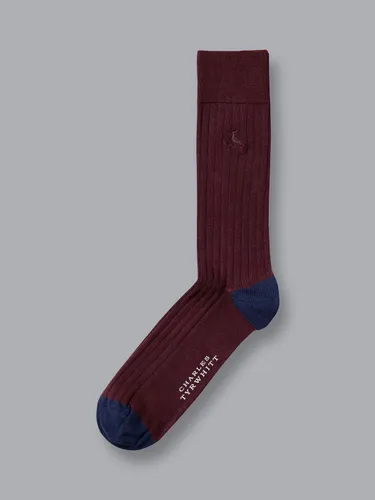 Charles Tyrwhitt Indigo Blue Cotton Rib Socks - Wine Red - Male