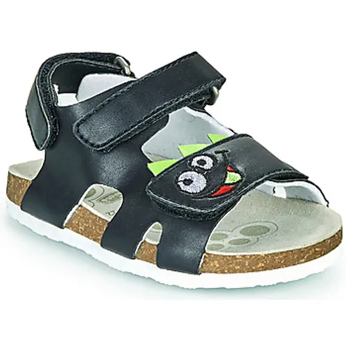 Chicco  HECCO  boys's Children's Sandals in Blue
