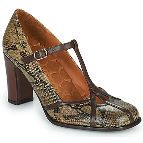 Chie Mihara  FATMA  women's Court Shoes in Brown