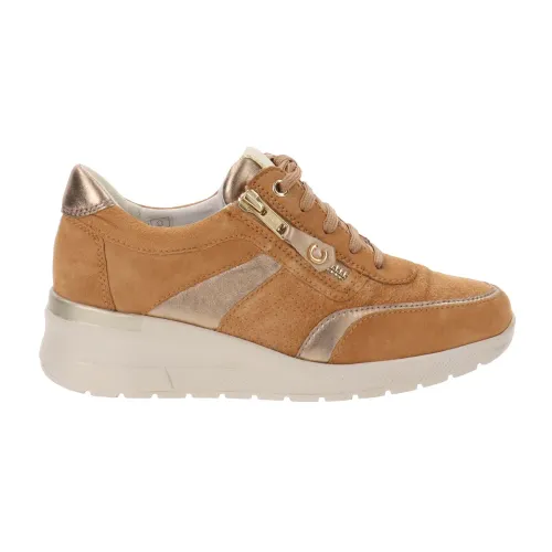 Cinzia Soft , Sneakers ,Brown female, Sizes: