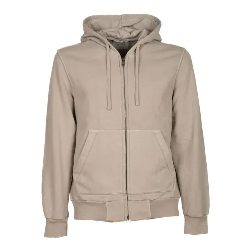 Circolo 1901 , Cotton Hooded Sweatshirt in Mud Color ,Beige male, Sizes: