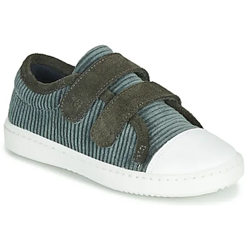 Citrouille et Compagnie  LILINO  girls's Children's Shoes (Trainers) in Grey