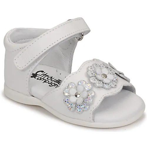 Citrouille et Compagnie  NEW 18  girls's Children's Sandals in White