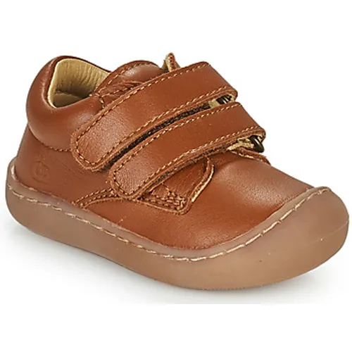 Citrouille et Compagnie  PIOTE  girls's Children's Shoes (Trainers) in Brown
