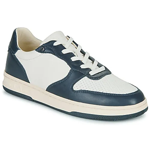 Clae  MALONE  men's Shoes (Trainers) in Marine