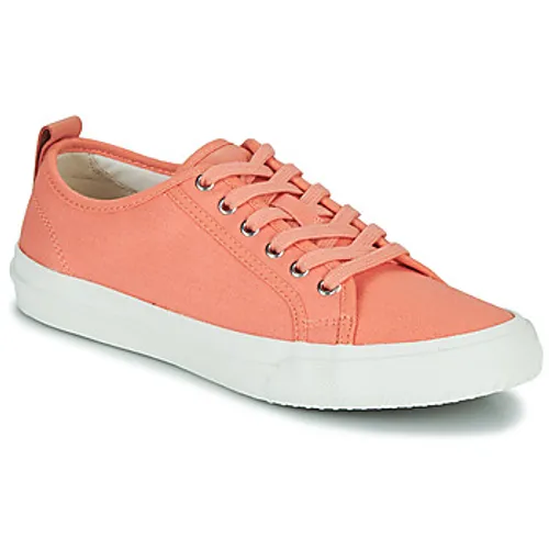 Clarks  Roxby Lace  women's Shoes (Trainers) in Pink