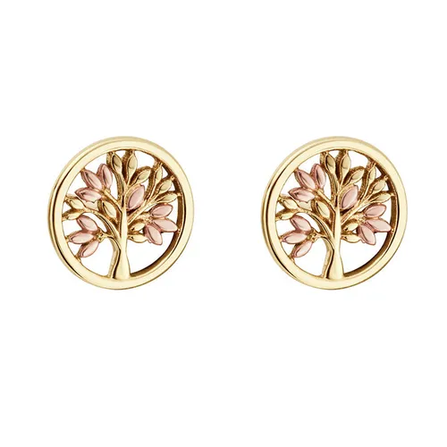 Clogau Tree of Life 9ct Gold Stud Earrings - Gold
