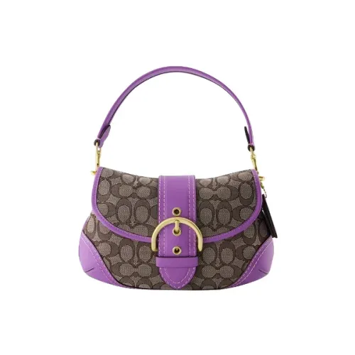 Coach , Leather handbags ,Purple female, Sizes: ONE SIZE