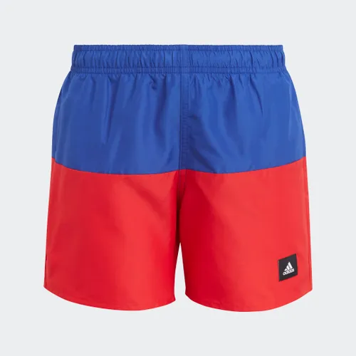 Colorblock Swim Shorts