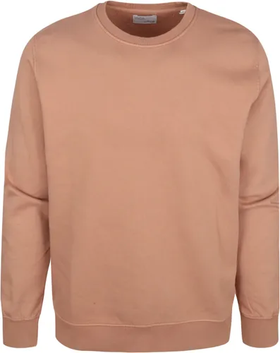 Colorful Standard Sweater Organic Brown