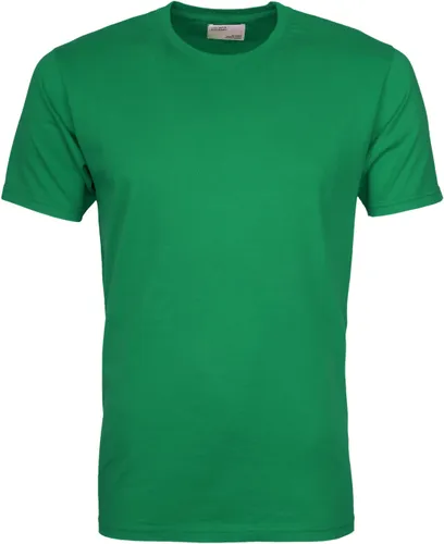 Colorful Standard T-shirt Kelly Green