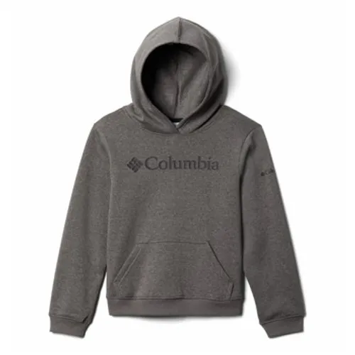 Columbia  COLUMBIA TREK HOODIE  boys's Children's sweatshirt in Grey