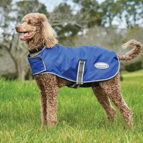 Comfitec Windbreaker Free Dog Coat, Blue