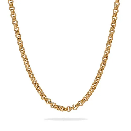 Common Lines Belcher Chain - Gold