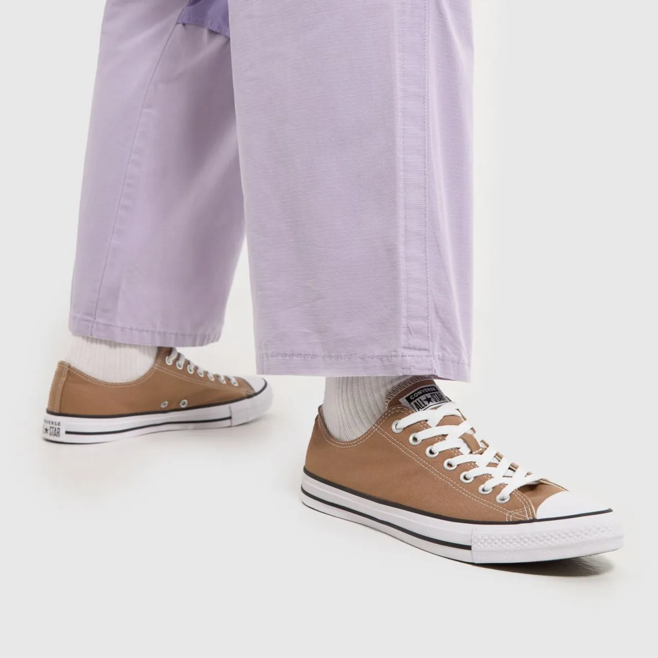 Converse all Star ox Trainers in Tan