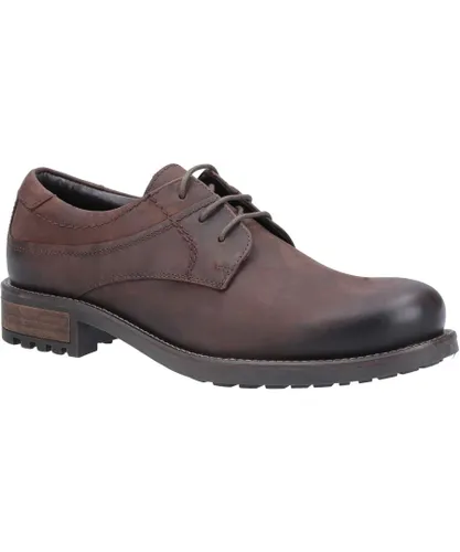 Cotswold Mens Nubuck Derby Shoes (Brown)