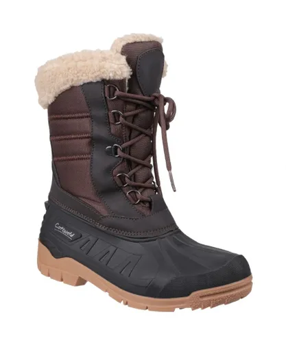Cotswold Womens/Ladies Coset Waterproof Tall Hiking Boots (Brown)