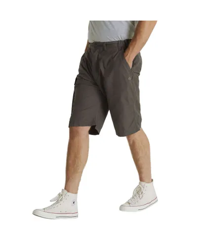 Craghoppers Mens Kiwi Long Length Shorts (Bark) - Brown
