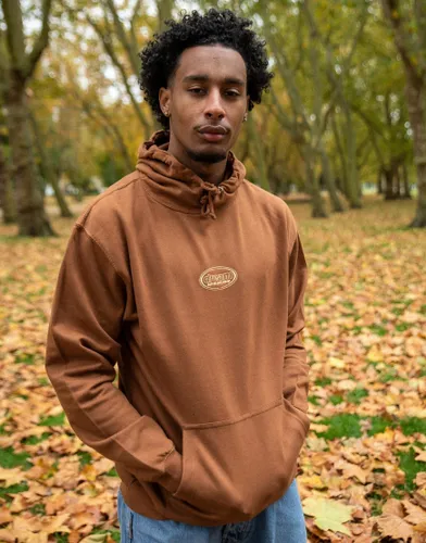 DBDNS hoodie in caramel toffee with oval logo embroidery-Brown