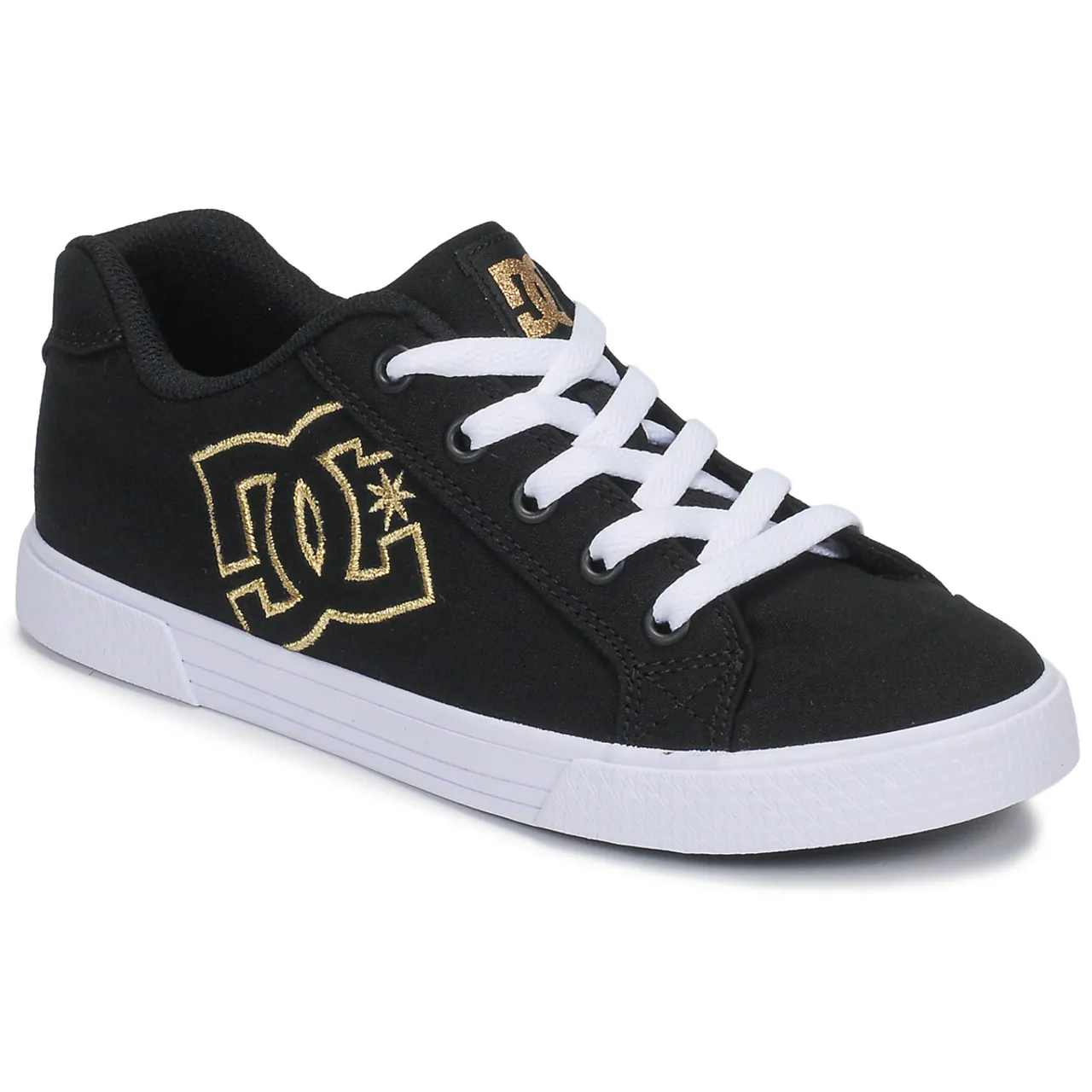 DC Shoes  CHELSEA TX  women's Shoes (Trainers) in Black