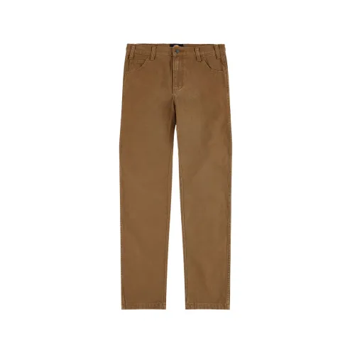 Dickies , Cargo Pants ,Brown male, Sizes:
