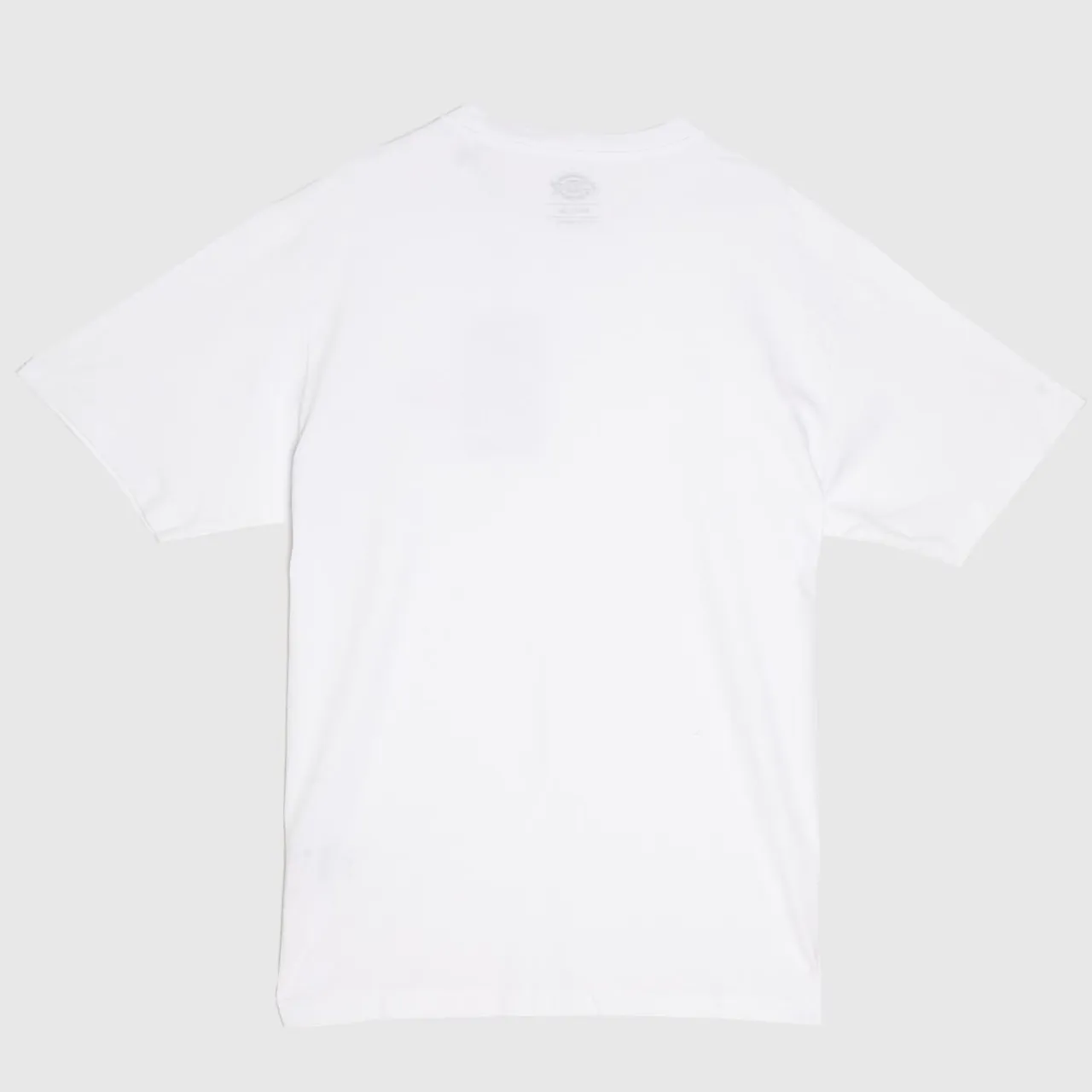 Dickies Mapleton T-shirt In White