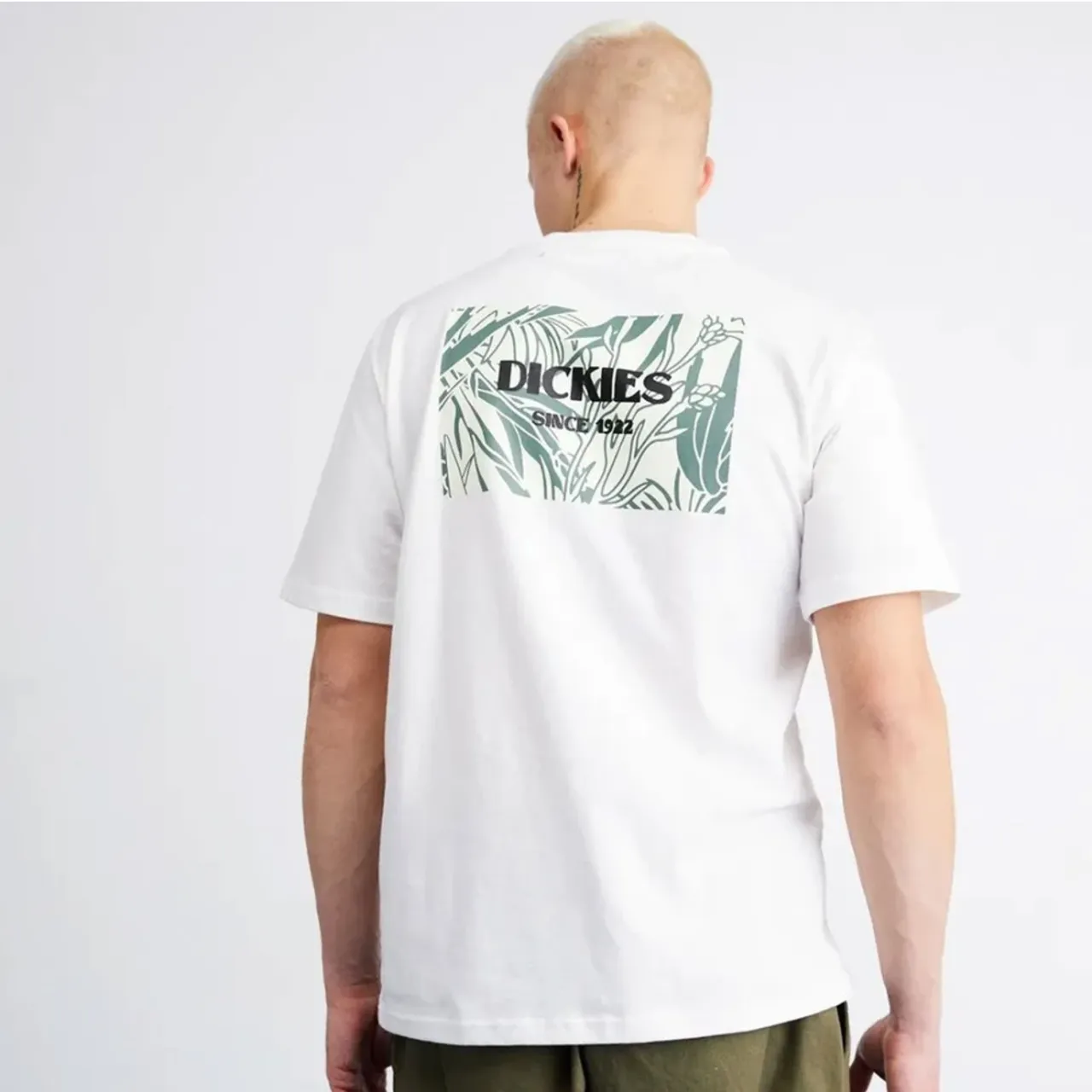Dickies , T-Shirts ,White male, Sizes: